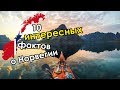 В Норвегии нельзя купить алкоголь? 10 невероятных фактов о Норвегии | Жизнь в Норвегии