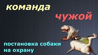 Команда ЧУЖОЙ (постановка собаки на охрану). Команда ЧУЖОЙ (постановка собаки на охрану).