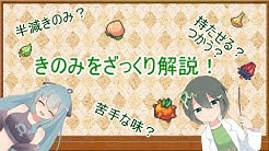 リィの研究所 Youtube