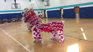 Vietnamese Lion Dance At Our Kids School Sponsored By Our Family