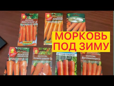 🥕ОБЗОР СОРТОВ МОРКОВИ ДЛЯ ПОСАДКИ ПОД ЗИМУ. АЭЛИТА. ПОИСК, СИБИРСКИЙ САД.