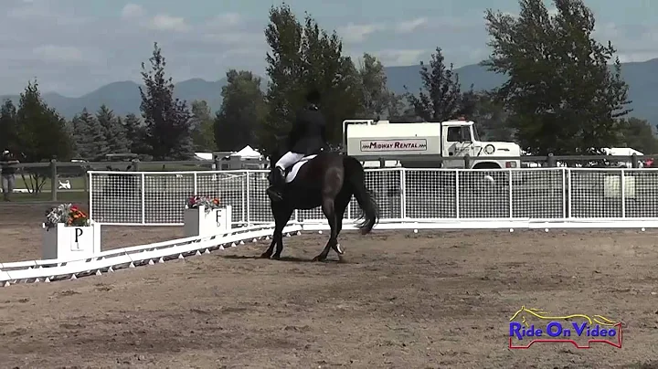 179D Clarissa Williams JR/YR Preliminary Dressage ...