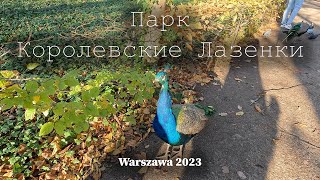 🇵🇱  Королевские Лазенки в Варшаве. Ноябрь 2023  OK-TV