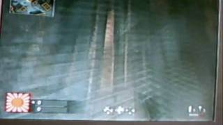 cod 5 -makin glitches