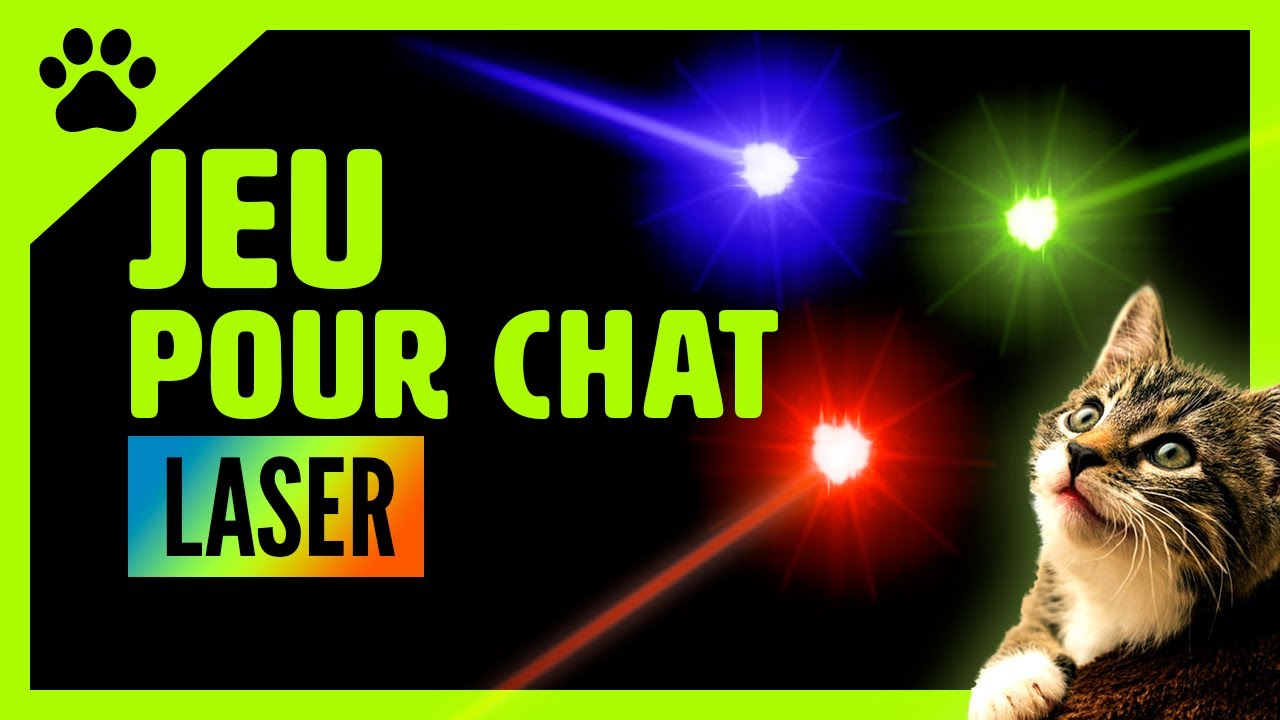 LASER POUR CHAT et CHATON jeu à l'écran ! Il va adorer s'amuser