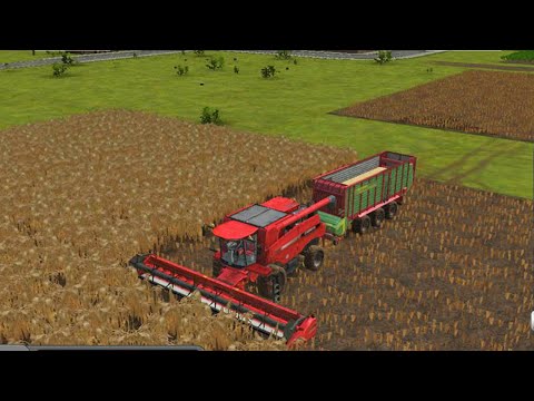 Fs16 Farming Simulator 16 - Animal Feeding Timelapse 30