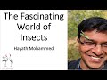 Delhibird talks the fascinating world of insects hayath mohammed