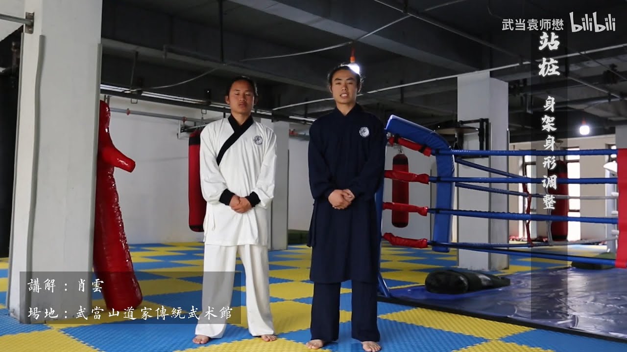 武当武术基本功(马步、弓步、站桩、压腿)系统教学及演示 3站桩身架身形调整及演示 - YouTube