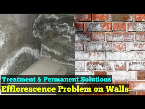 Efflorescence Effect & Treatment - How to Remove Efflorescence from Brick