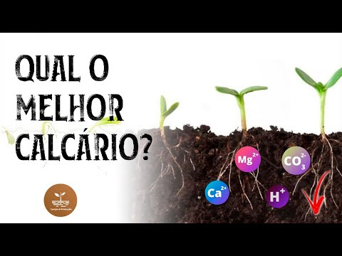 Vídeo: Quais são os três tipos de calcário?