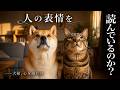 犬と猫は、飼い主の気持ちを読んでいるのか?｜科学が出した答え