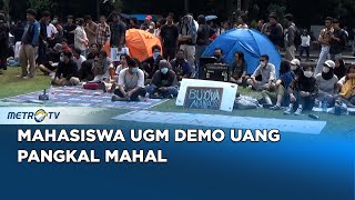UKT Mahal, Mahasiswa UGM Demo & Kemah di Kampus