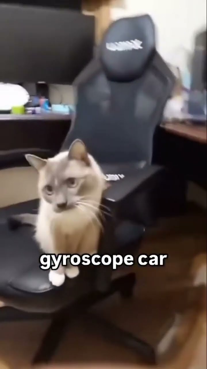 Car just like them parrots bro like yeah look at gyroscoping