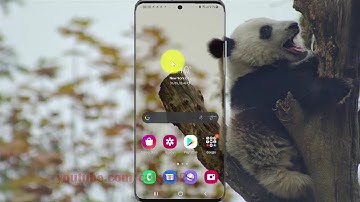 How change App permission to access contacts in Samsung Galaxy S21, S21Plus, or S21 Ultra