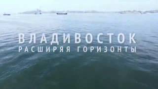 Владивосток с птичьего полёта