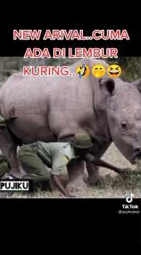jamu kuat kaERA