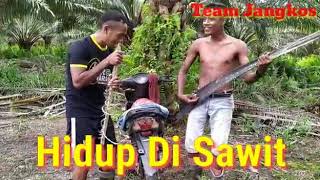 Anak rantau kalimantan barat kupang lucu