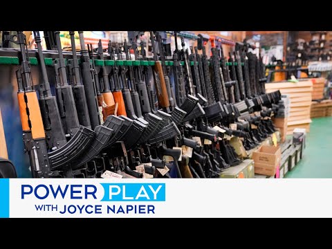 Why does Canada need to strengthen its gun control laws? | Power Play with Joyce Napier