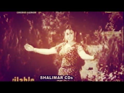 Gulnar Begum - Nadana Zra Da Cha Khobona De