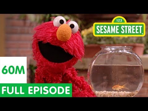 Elmo and Friends Find the Best Pet | Sesame Street Full Episode