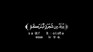 كروما شاشة سوداء قرآن كريم 🌿تلاوة من سورة النور 🌿القارئ أنس محمد 🌿
