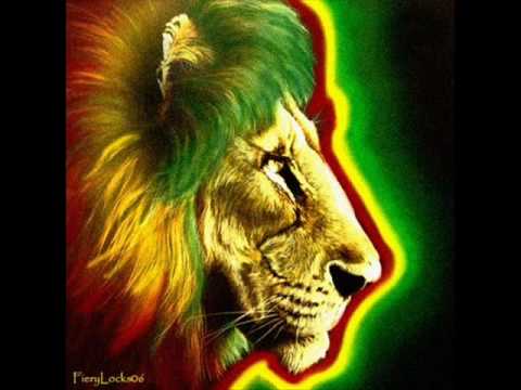 Shamanes un nuevo amanecer