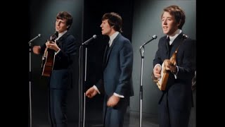 Look Through Any Window  The Hollies stereo 1965