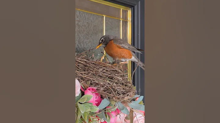 I can’t believe this happened outside our front door 🥹 #shorts - DayDayNews