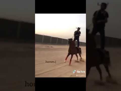 حالة سقوط خيال من خيله