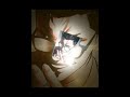 Lookism edit #lookism #editshorts