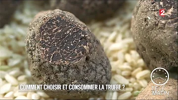 Comment conserver les truffes fraîches sous vide ?