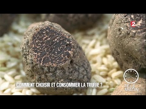 Vidéo: Comment Utiliser L'huile De Truffe