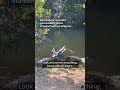 Video shows tense battle between crocodile and alligator in Everglades