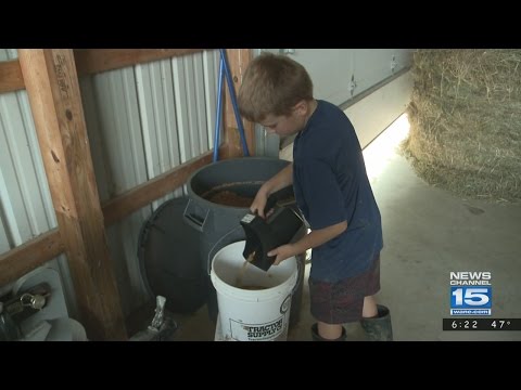 9-year old Cubs fan Kolt Kyler of Pierceton, Indiana has dream come true