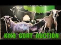 Kiko Goat Auction | Oklahoma Hills Invitational Kiko Sale 2019 | Kiko Goats