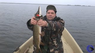Рыбалка в Дельте Волги Fishing in the Volga Delta