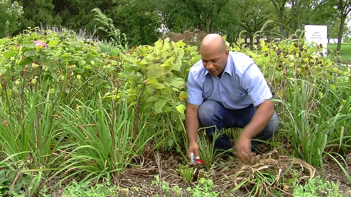 Fall Clean Up In the Garden - Cottage Farms and Wi...