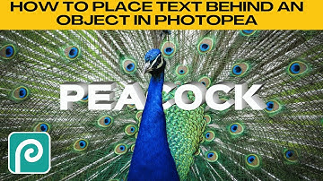 How to Place TEXT BEHIND an OBJECT in Photopea