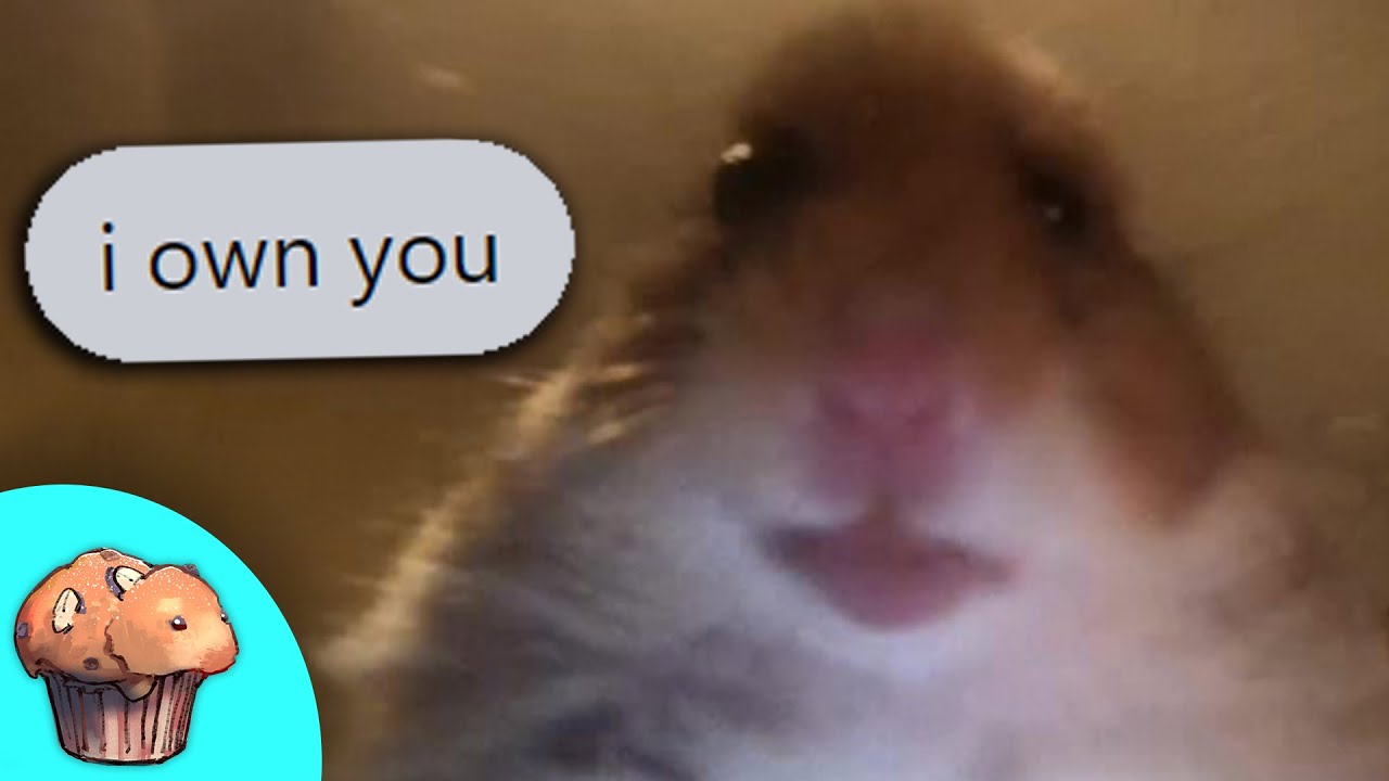 r/Niceguys • Я владею тобой