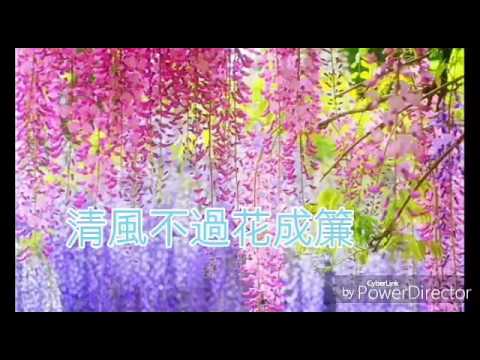 云菲菲---小小新娘花