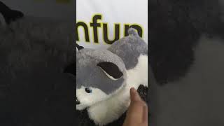 Download Lagu Soft Toys Collection : 03(Cute pussy cat 😺)#youtube #shorts #fun MP3 Download Lagu Soft Toys Collection : 03(Cute pussy cat 😺)#youtube #shorts #fun MP3