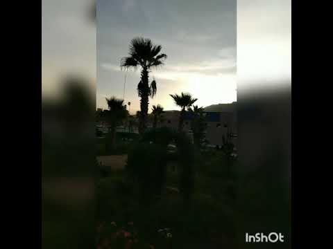 البرلماني بليكي واخته  فرنك