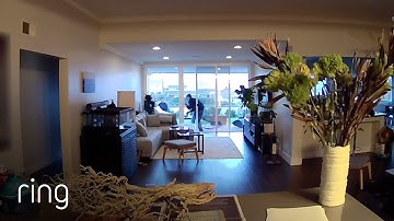 “With Ring, I Stopped a Break-in on My Phone”⼁RingTV
