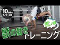 獣・動物の動きトレーニング弐ノ型【HIIT/サーキットトレーニング】鬼滅の刃・伊之助になりきれ！（10分10種目タイマー付き）_traning_10minutes（#2）