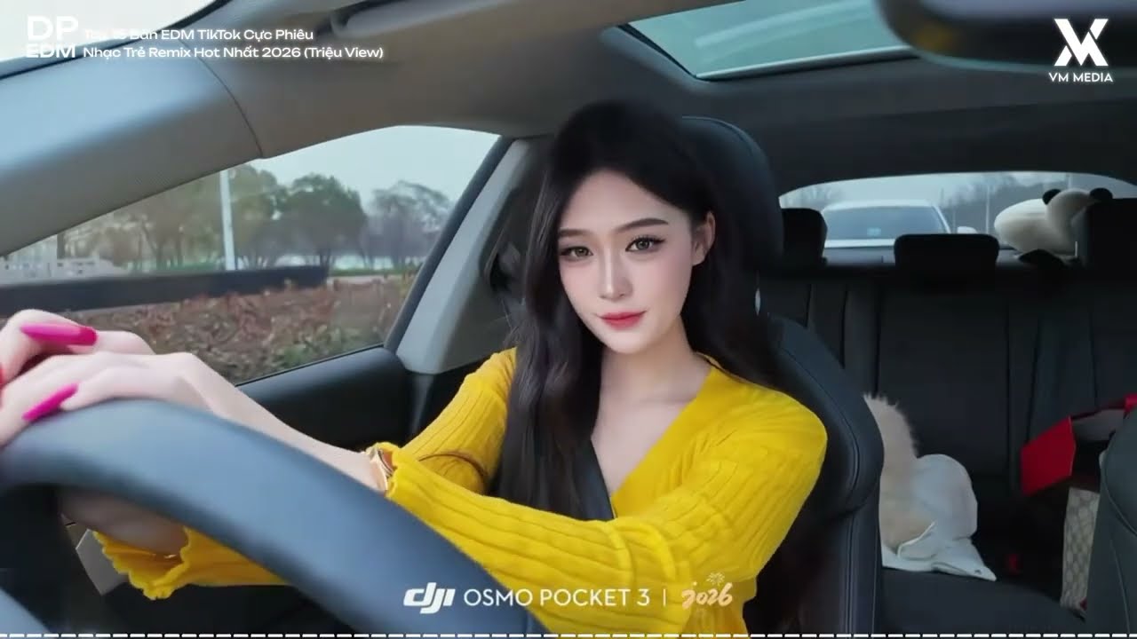 BXH Nhạc Remix 2026 🎧 Top 15 Bản EDM TikTok Cực Phiêu - Nhạc Trẻ Remix Hot Nhất 2026 (Triệu View)