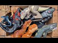 Hunting Jurassic World Dinosaur Toy Collection ASMR Review T-Rex, Triceratops, Velociraptor