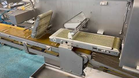 Marel IPS3000 Salmon Slicer