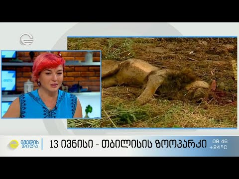 13 ივნისი თბილისის ზოოპარკში - რას იხსენებენ ზოოპარკის თანამშრომლები 7 წლის შემდეგ