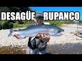 🎣 Pesca de orilla en Lago Rupanco | CHILE