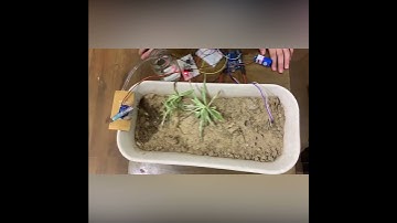 Smart Plant Watering System by Aditya